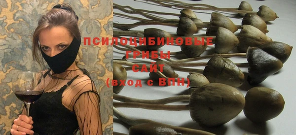 гидропоника Баксан